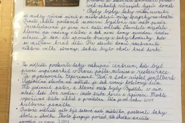 Projekt Karlín - Sídliště Invalidovna - Zuzka