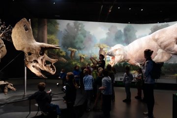 Listopad 2021 - Dinosauria Museum