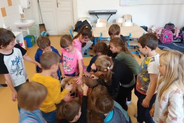 Canisterapie