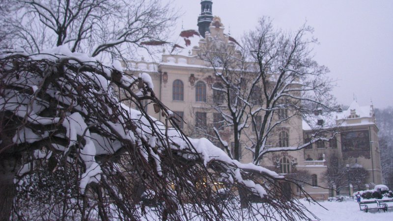 Úpravy organizace provozu školy od pondělí 1. 3. 2021