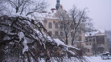 Úpravy organizace provozu školy od pondělí 1. 3. 2021