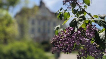 Provoz školy od pondělí 17. 5. 2021