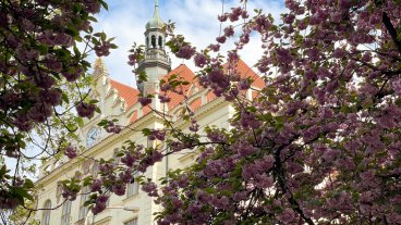 Výsledky zápisu do 1. ročníku Smysluplné školy pro školní rok 2022/2023