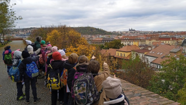 11. týden