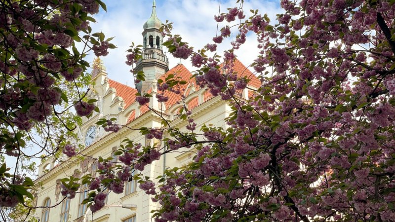 Výsledky zápisu do 1. tříd a přípravného ročníku pro školní rok 2024/2025
