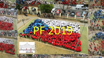 PF 2019